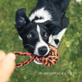 BITTE-resistente Set Kautes interaktives Haustier-Hunde-Seilspielzeug